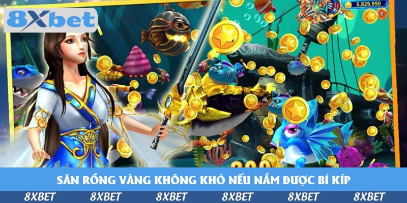 Săn Rồng Vàng không khó nếu nắm được bí kíp